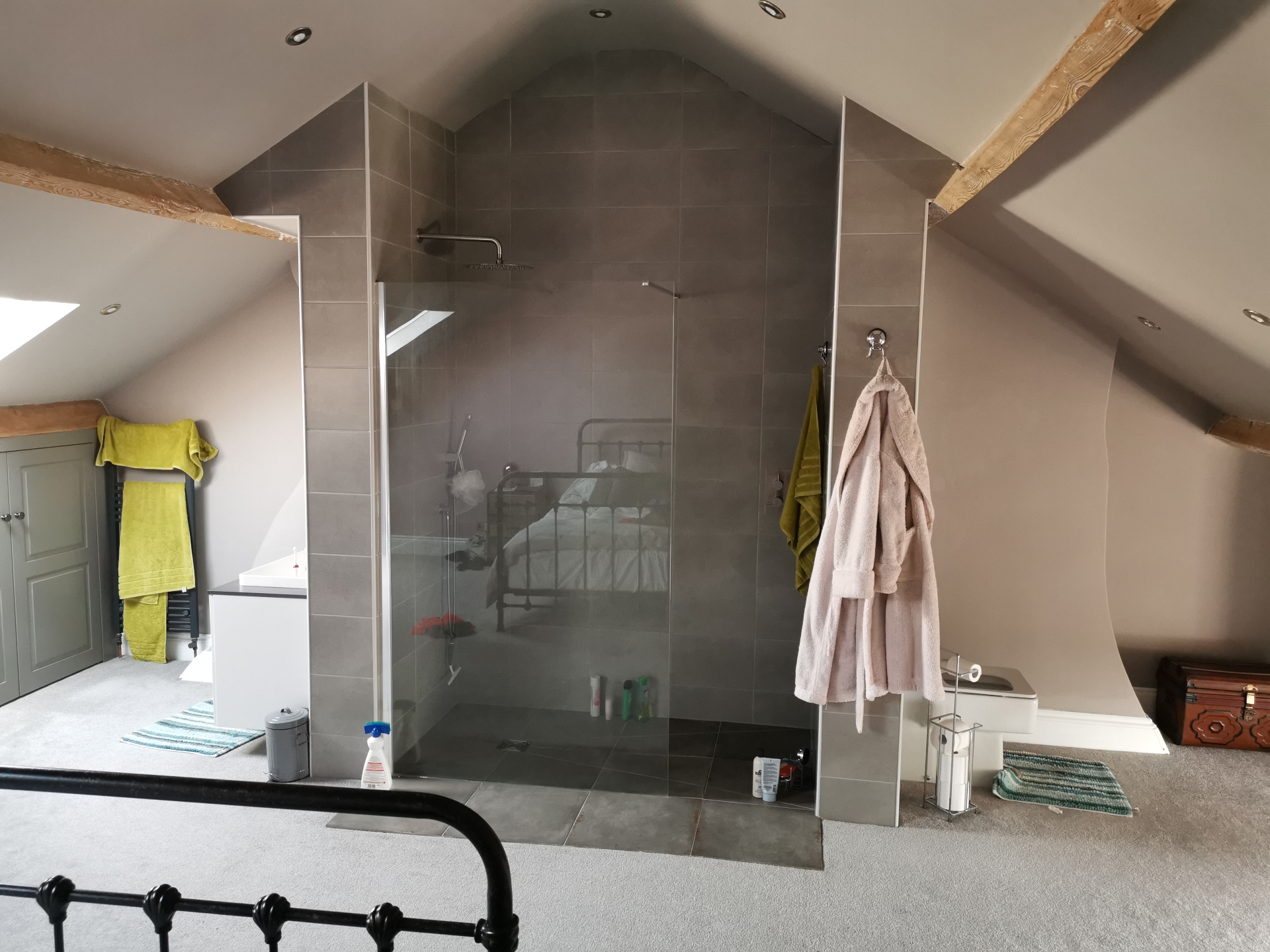 Loft-style shower room with walk-in enclosure and vaulted ceiling